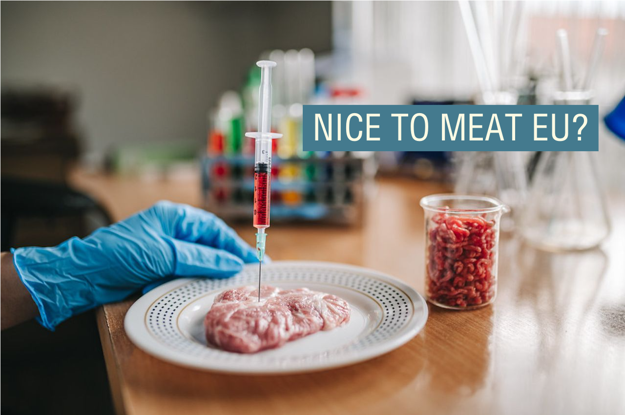 Artificial meat being created in a lab.