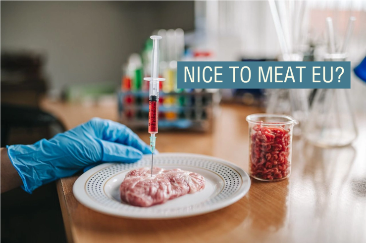 Artificial meat being created in a lab.