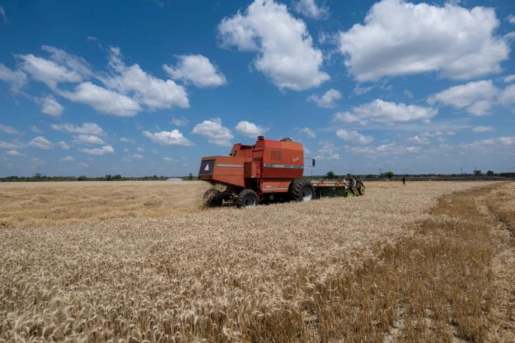 A wheat farm in Zimbabwe.