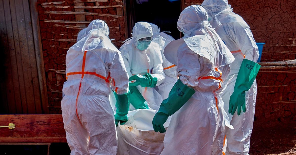 Scientists race to develop Ebola vaccines