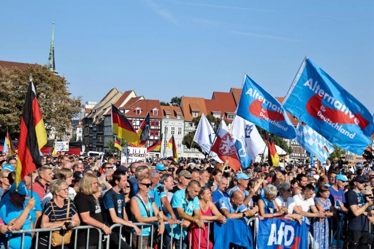 AfD rally