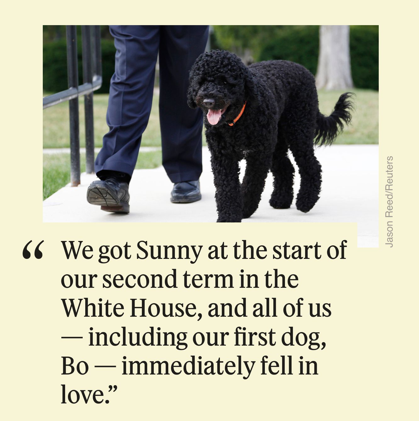 “We got Sunny at the start of our second term in the White House, and all of us – including our first dog, Bo — immediately fell in love.” 