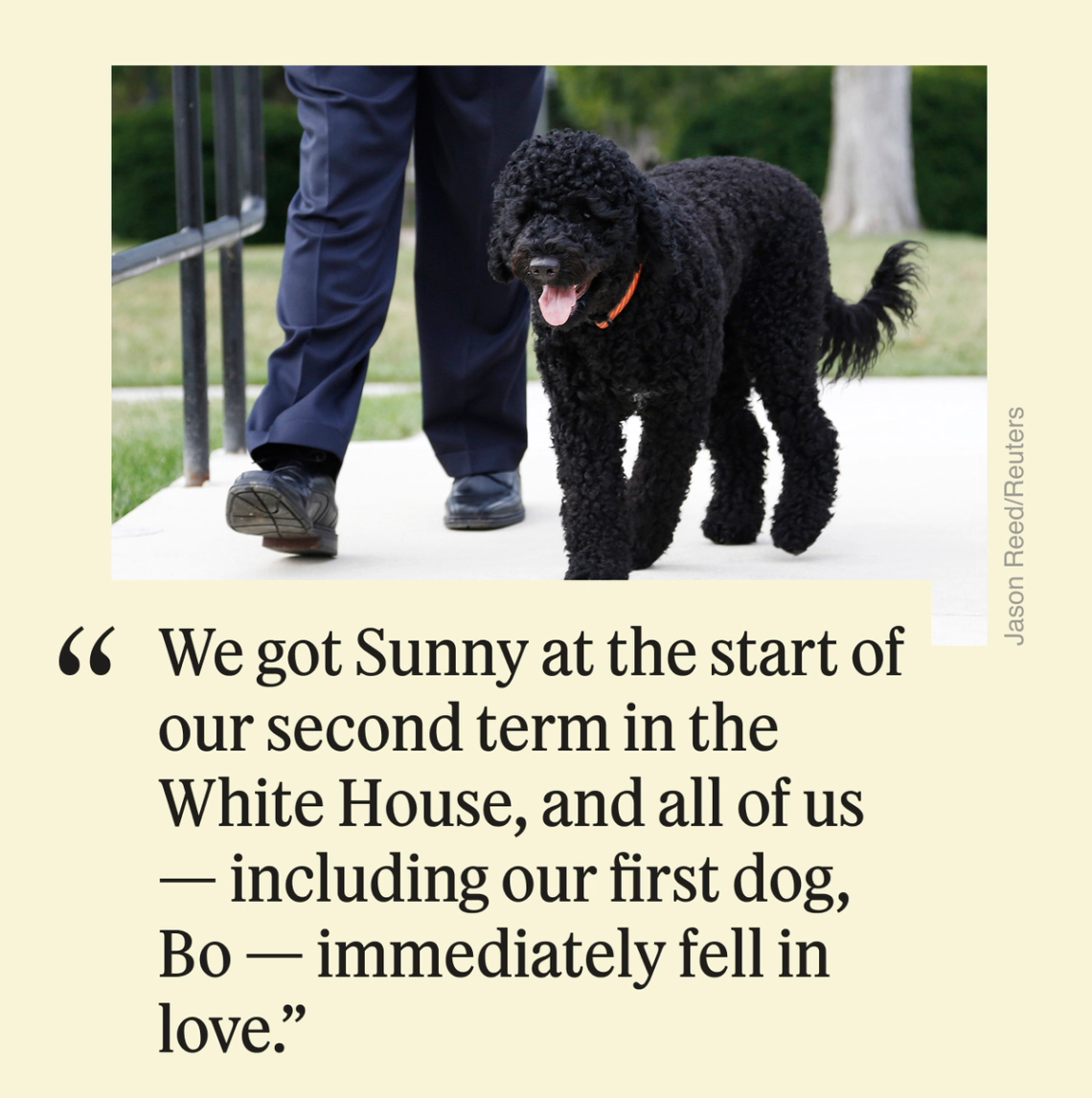 “We got Sunny at the start of our second term in the White House, and all of us – including our first dog, Bo — immediately fell in love.”