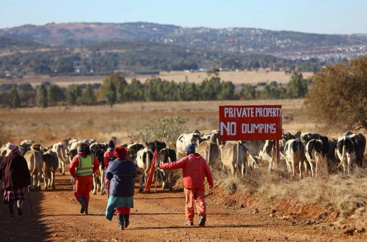 Workers drive cattle past a ‘private property’ sign, at a farm in Eikenhof, near Johannesburg.
