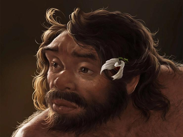 An artist’s impression of H. longi based on a digital reconstruction of the fossilized skull.