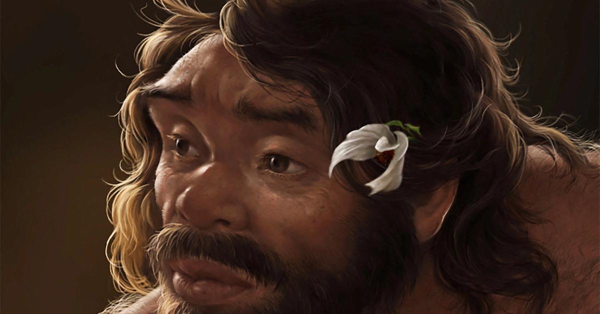 Millionyearold skull challenges history of human evolution httpswwwsemaforcom Millionyearold skull challenges history of human evolution httpswwwsemaforcom