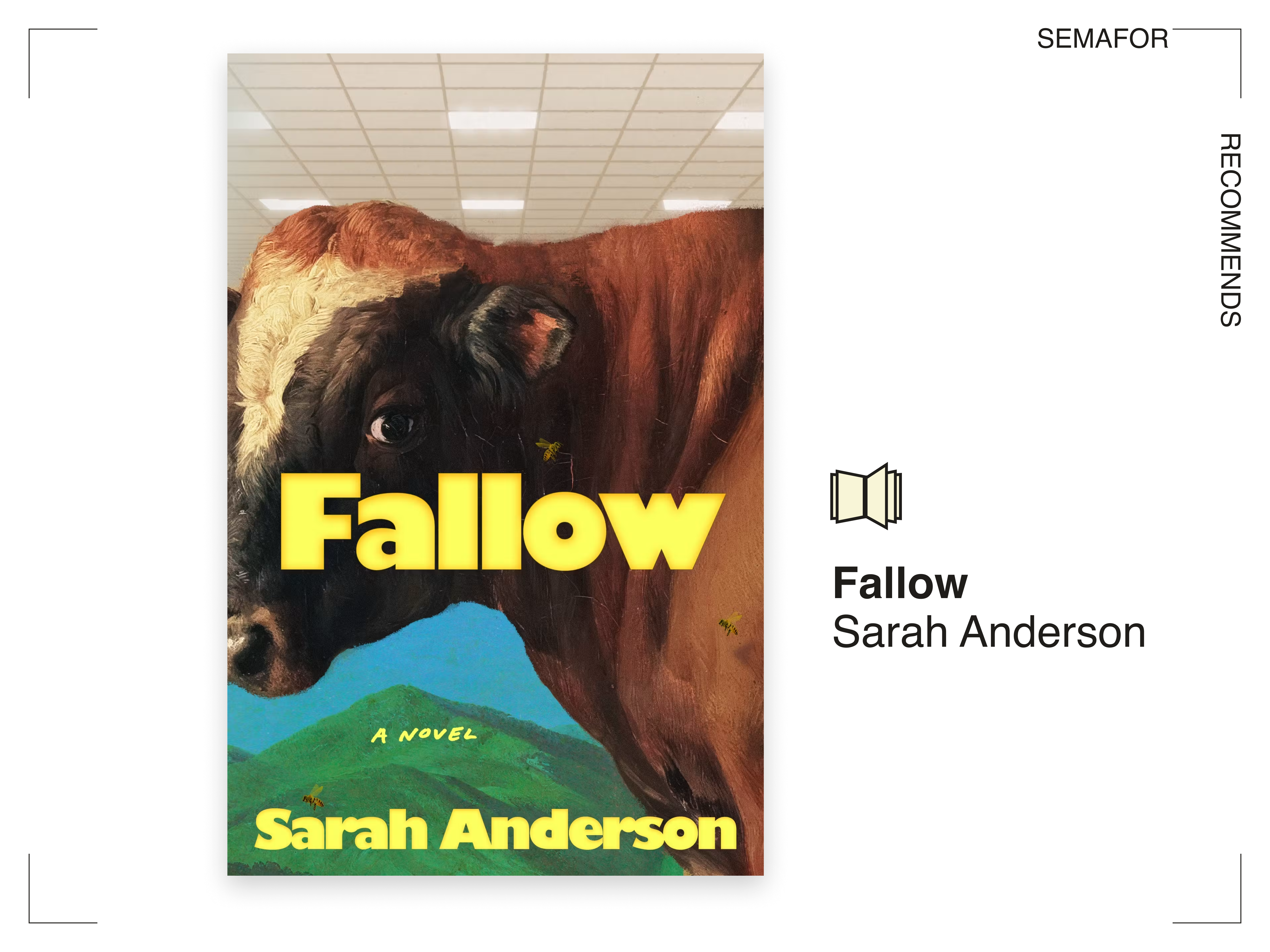 Semafor Recommends Fallow
