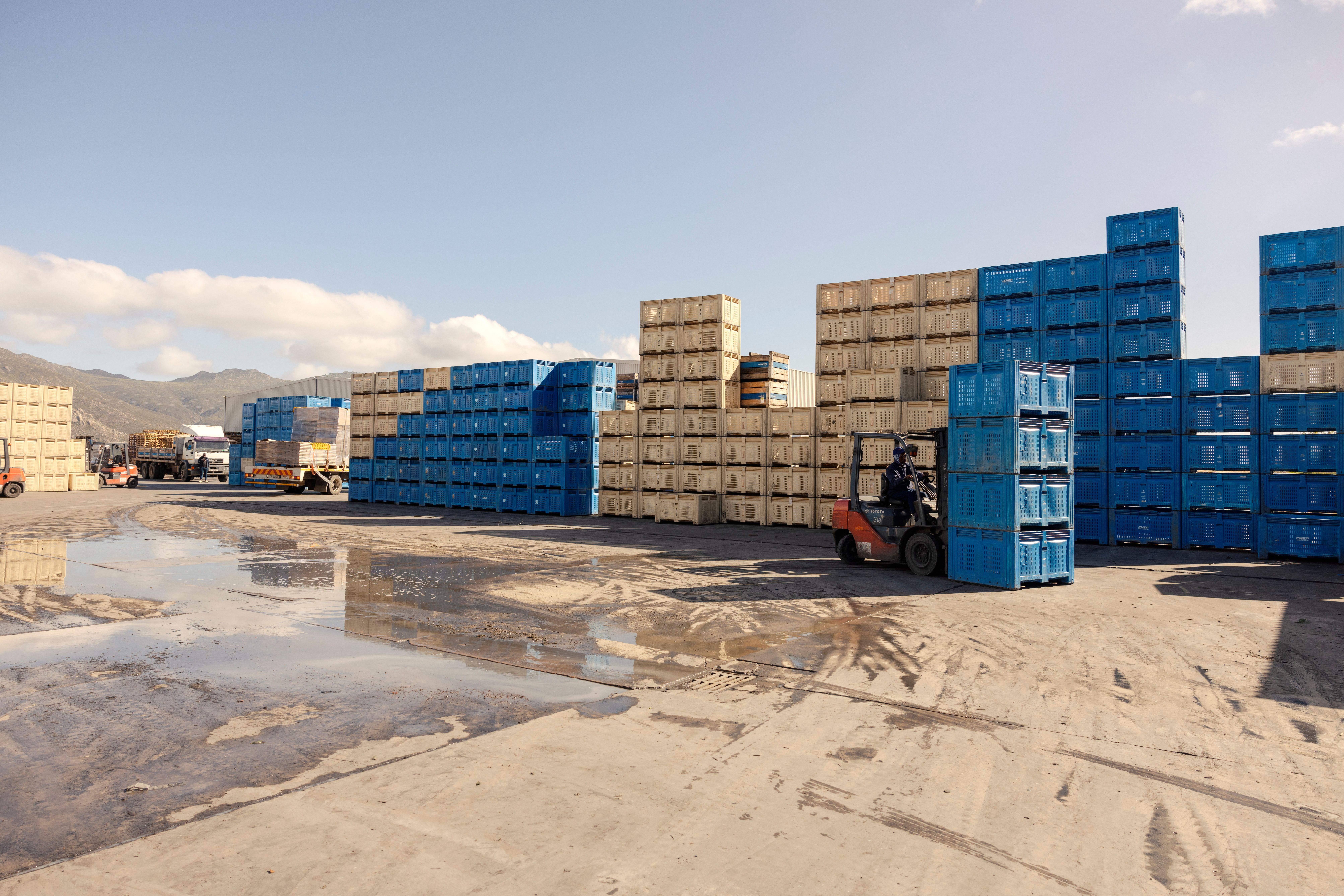 A forklift move oranges filled crate at the packaging ALG Estates packaging facility in Citrusdal.