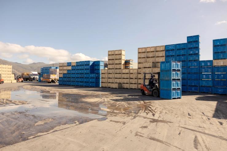 A forklift move oranges filled crate at the packaging ALG Estates packaging facility in Citrusdal.