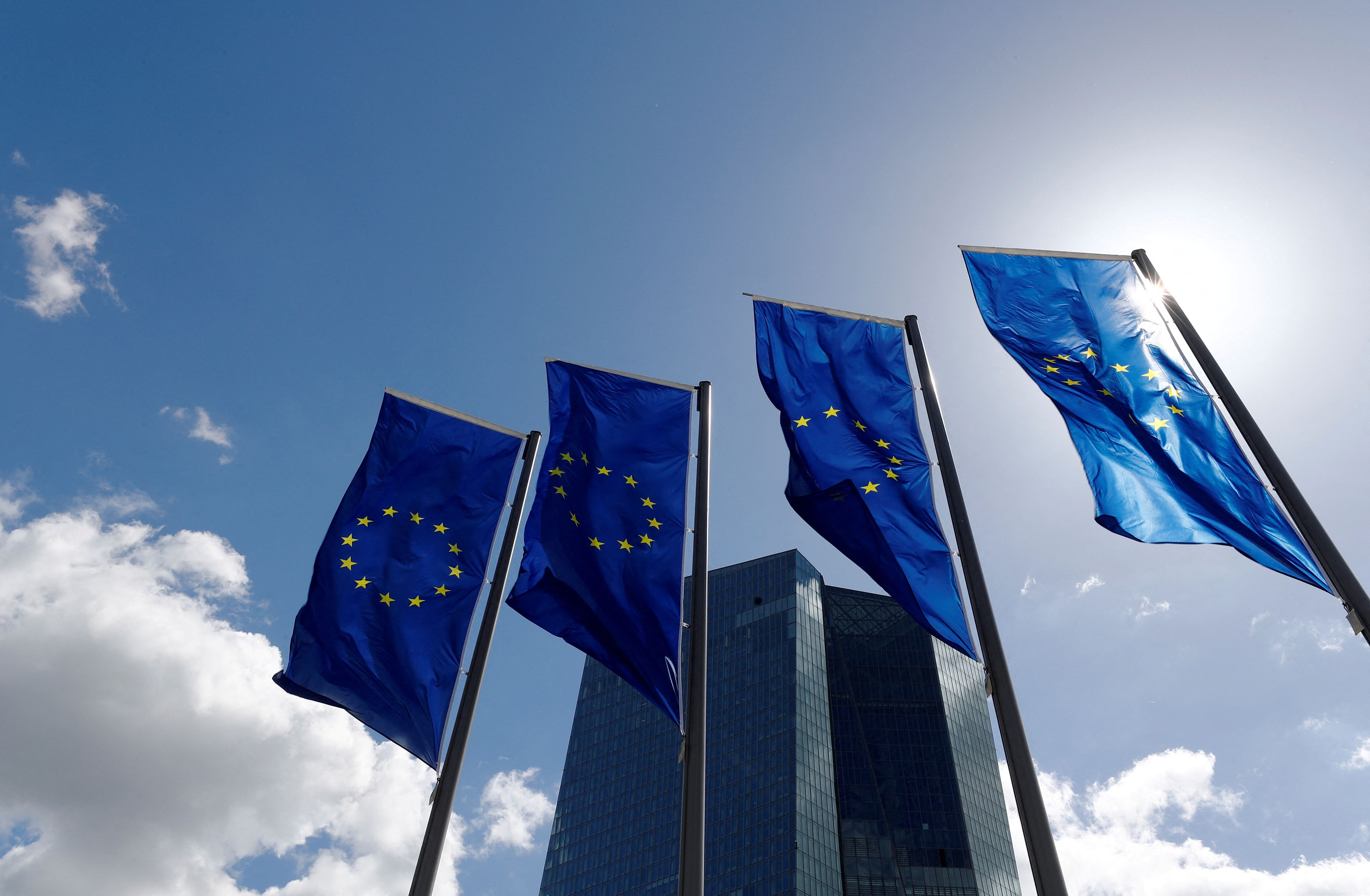 Flags of the EU.
