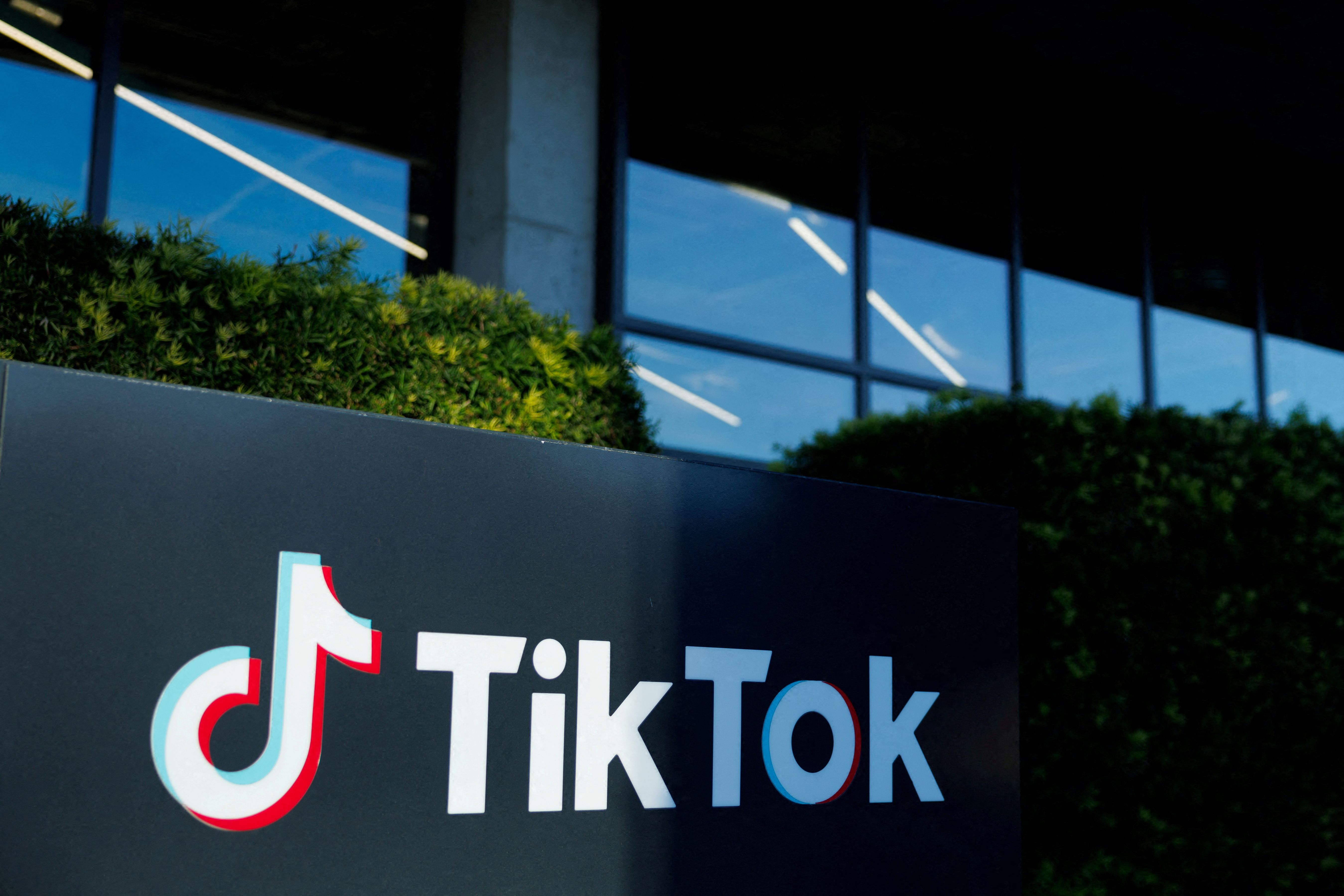 TikTok logo