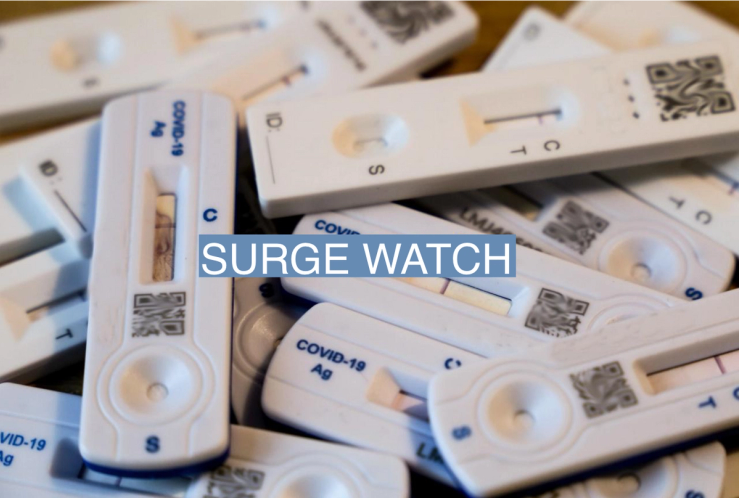 Various lateral flow tests in a pile