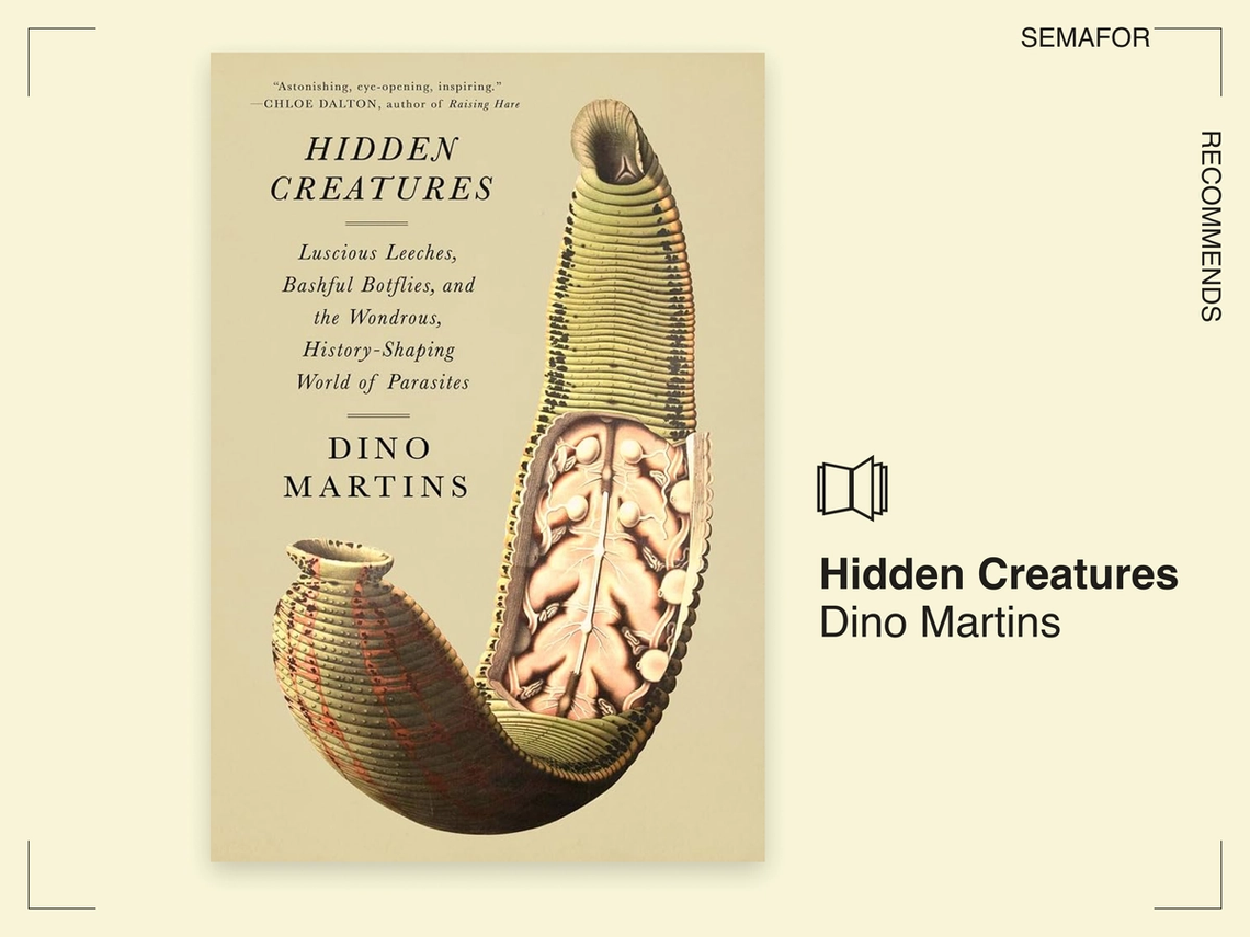 Semafor Recommends Hidden Creatures