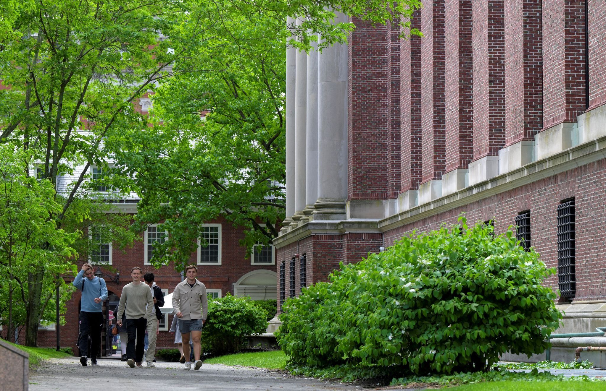 Students walk on Harvard University campus