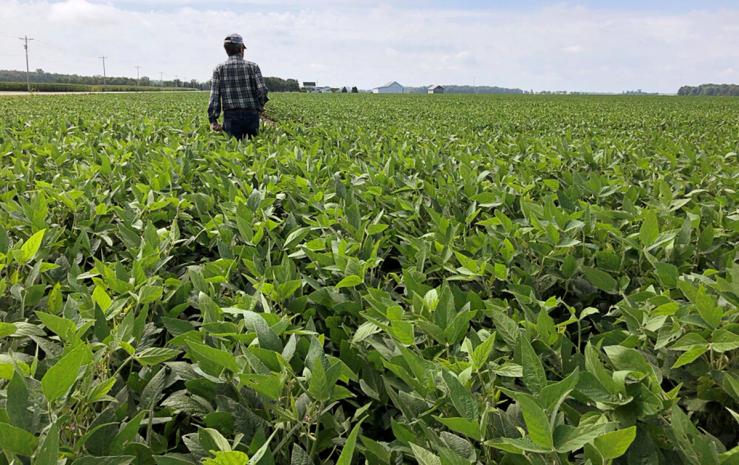A soybean farmer in the US
