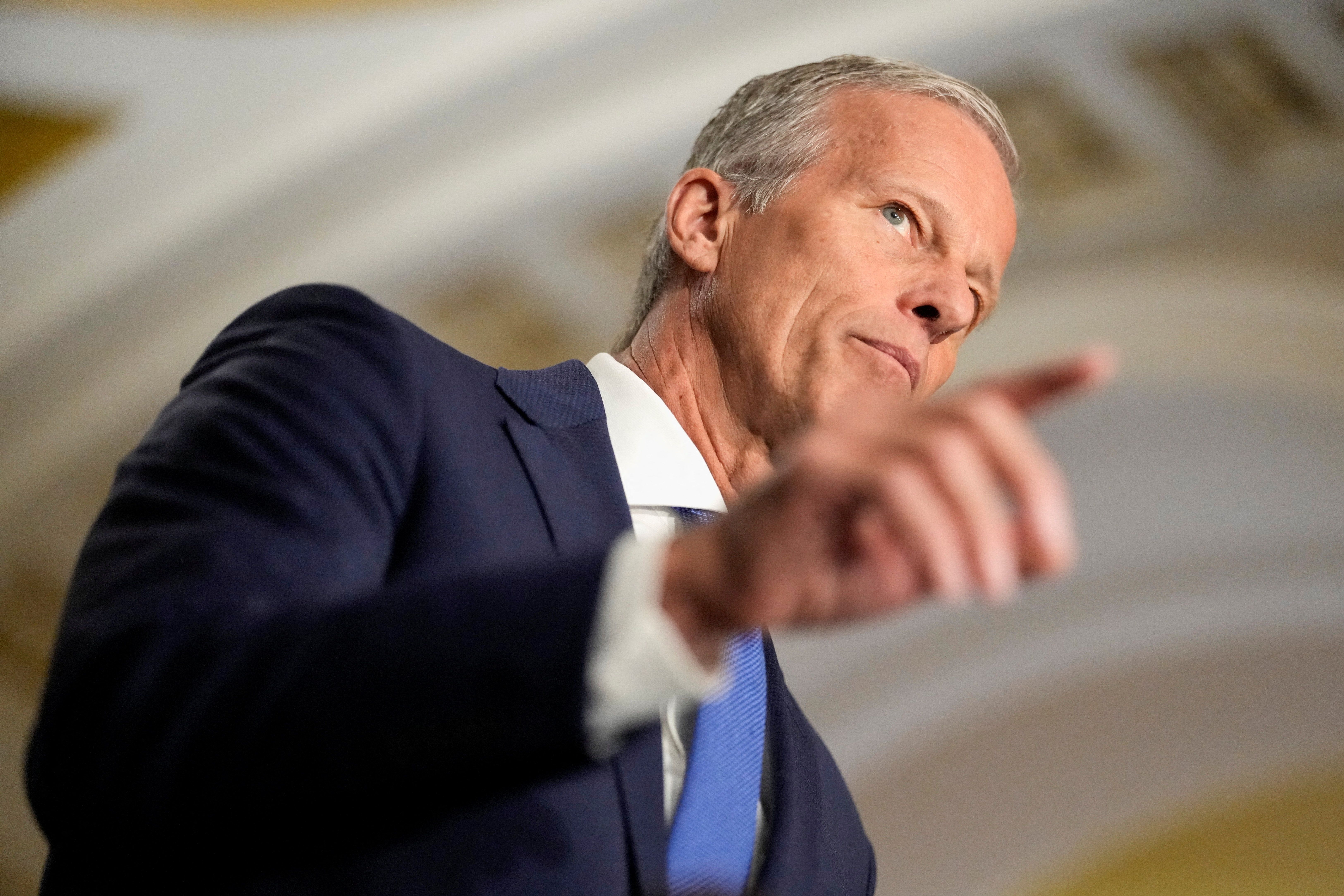 Senate Majority Leader John Thune