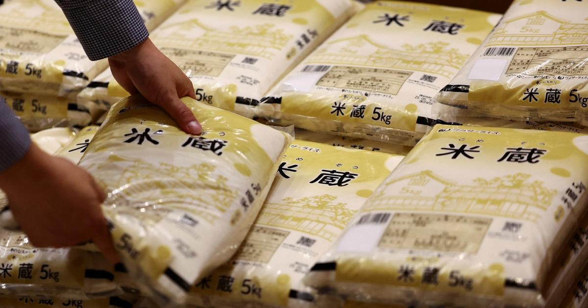 Japan’s rice shortage puts pressure on politicians