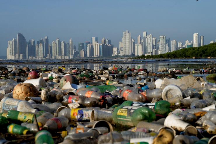 Plastic polluting a mangrove area lies in Panama Bay.