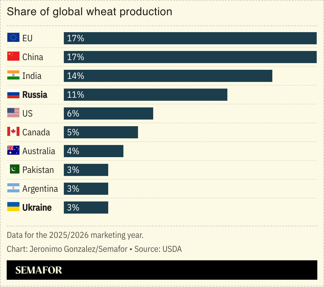 A chart showing wheat production by country. 