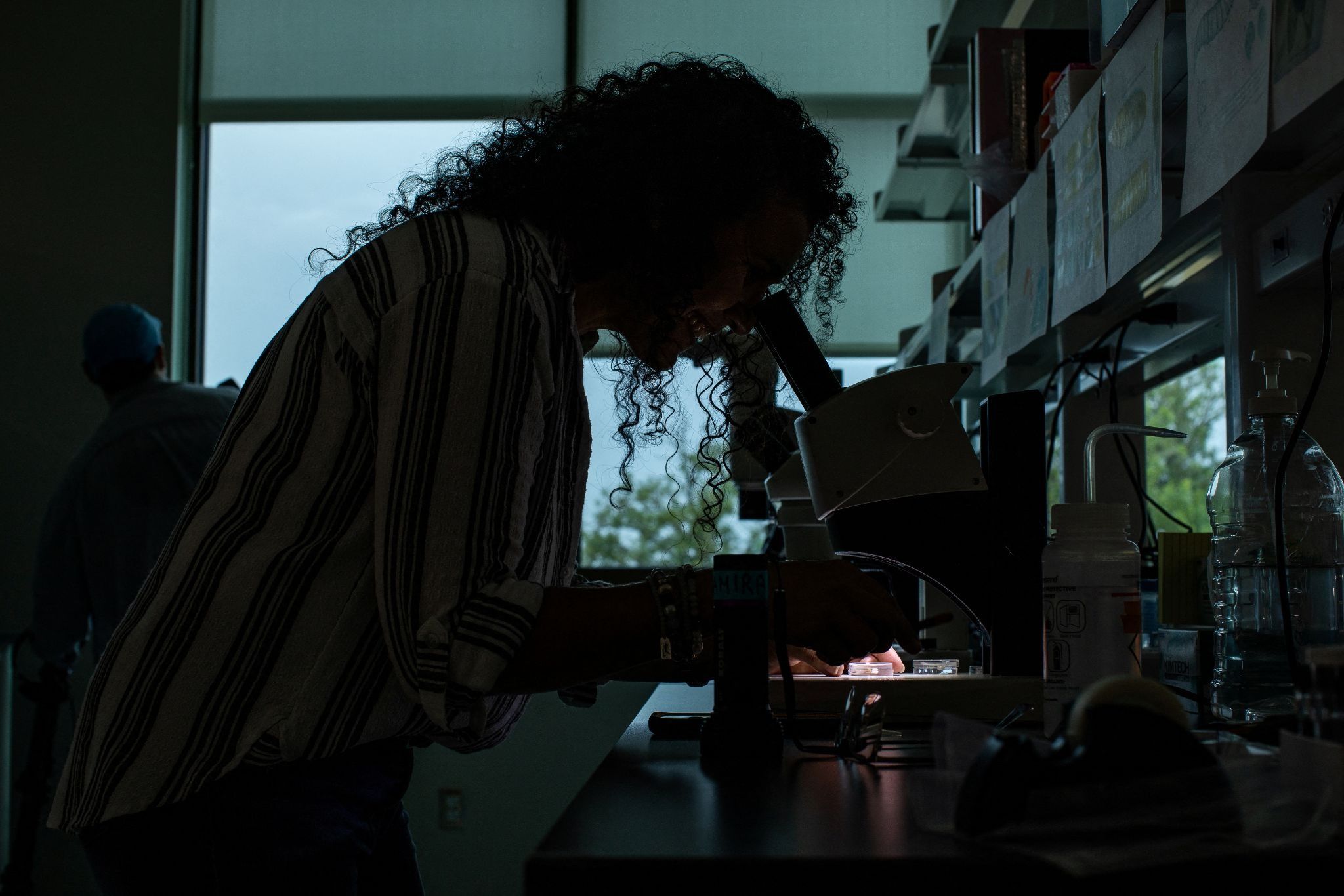 A scientist looking at a sample under a microscope.