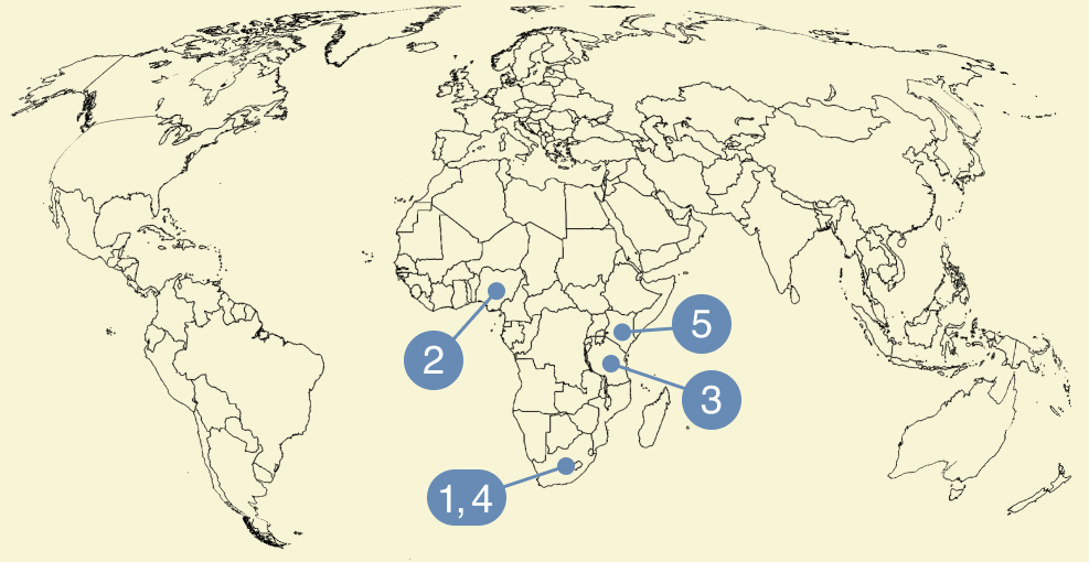 Africa undersea cable breaks spark fears of vulnerabilities