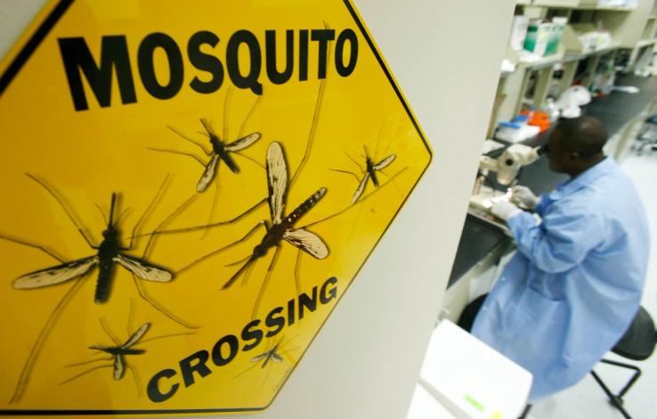 A man in a mosquito research center