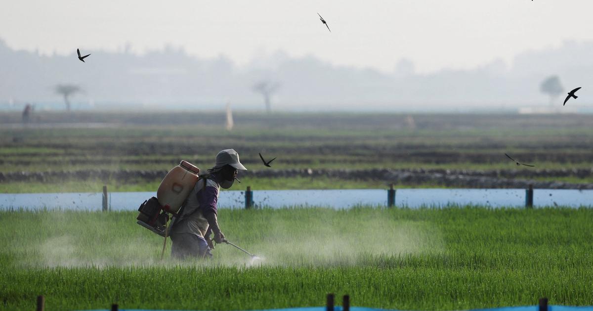 Poorer nations face fertilizer hit as prices soar