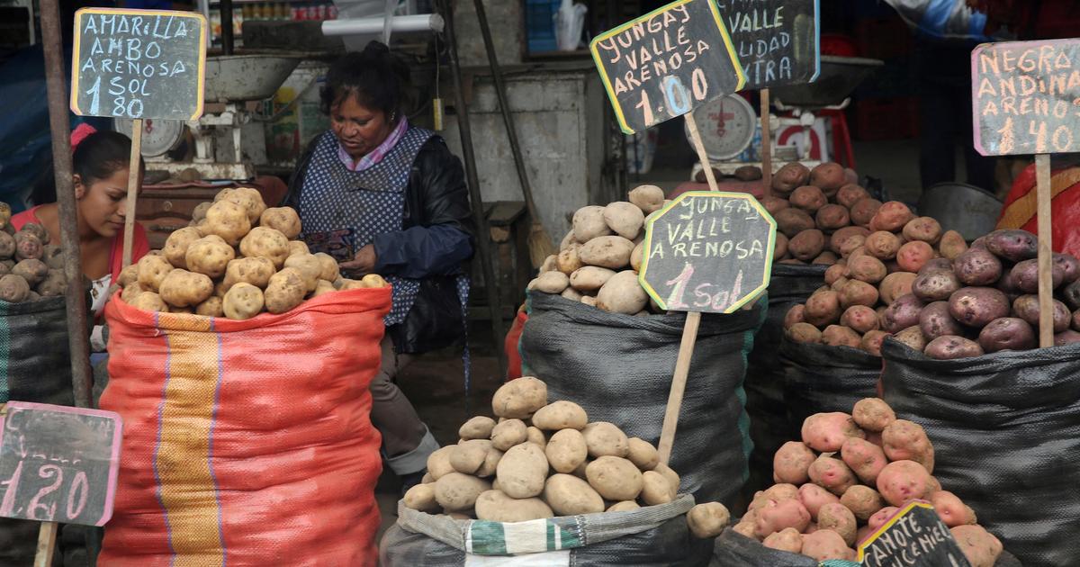 WHO: Global hunger declines, but regional gaps widen