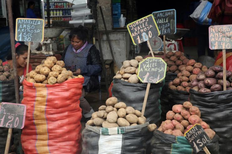 A woman sells potatoes at La Parada market in La Victoria district of Lima, Peru.