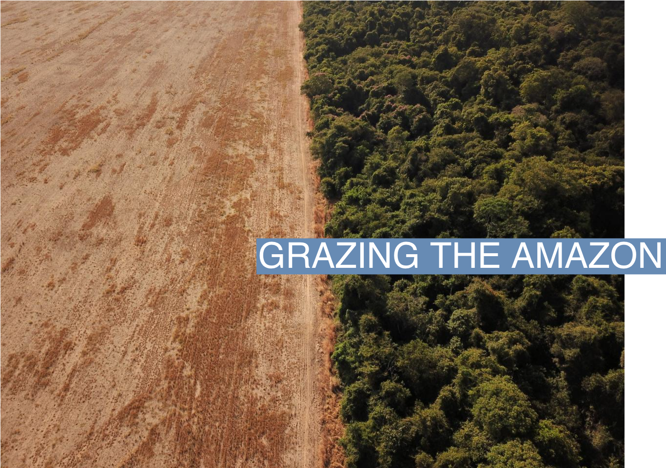 An aerial view shows deforestation near a forest on the border between Amazonia and Cerrado in Nova Xavantina, Mato Grosso state, Brazil July 28, 2021. Picture taken July 28, 2021 with a drone. REUTERS/Amanda Perobelli/File Photo