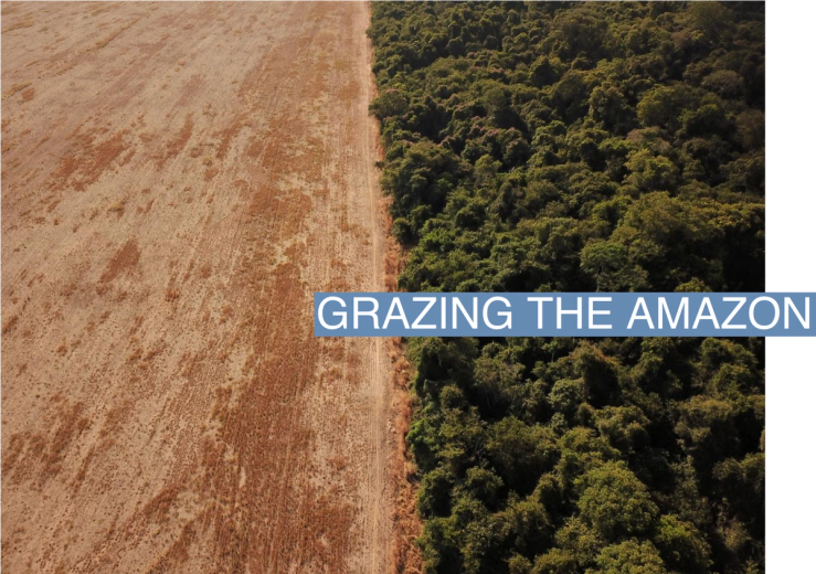 An aerial view shows deforestation near a forest on the border between Amazonia and Cerrado in Nova Xavantina, Mato Grosso state, Brazil July 28, 2021. Picture taken July 28, 2021 with a drone. REUTERS/Amanda Perobelli/File Photo