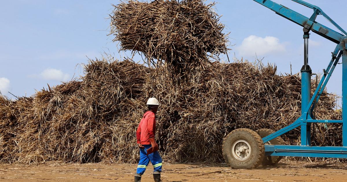 Billionaire maps next chapter for southern Africa sugar giant