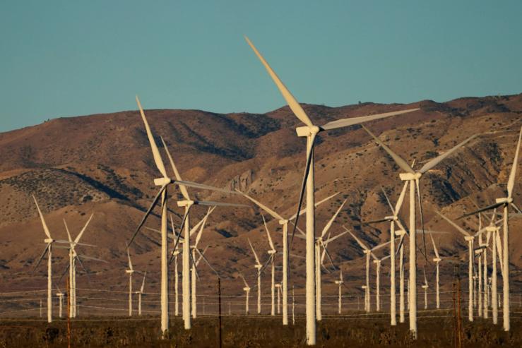 A wind farm in Movave, California.