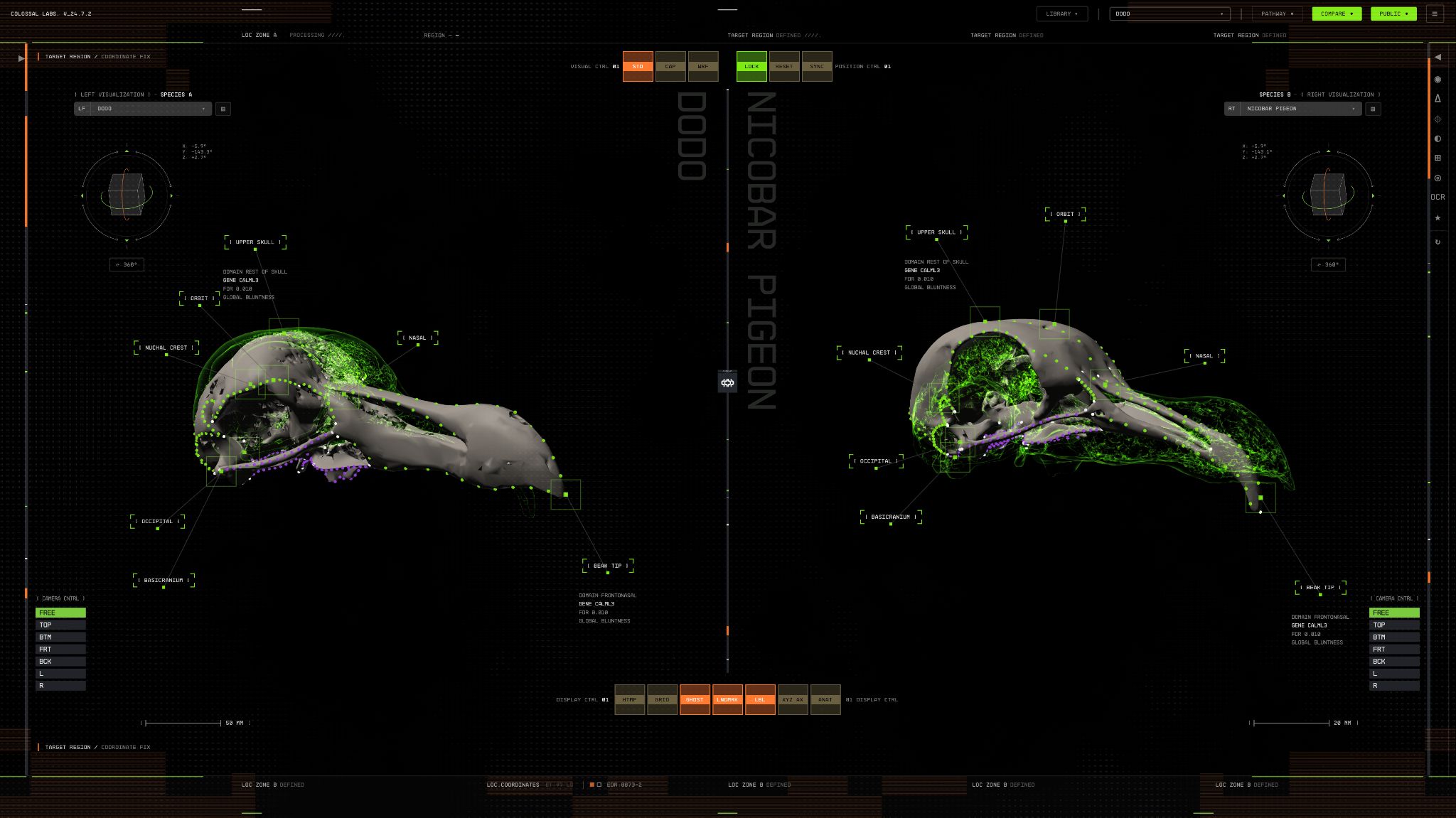 The new Colossal Biosciences AI system.