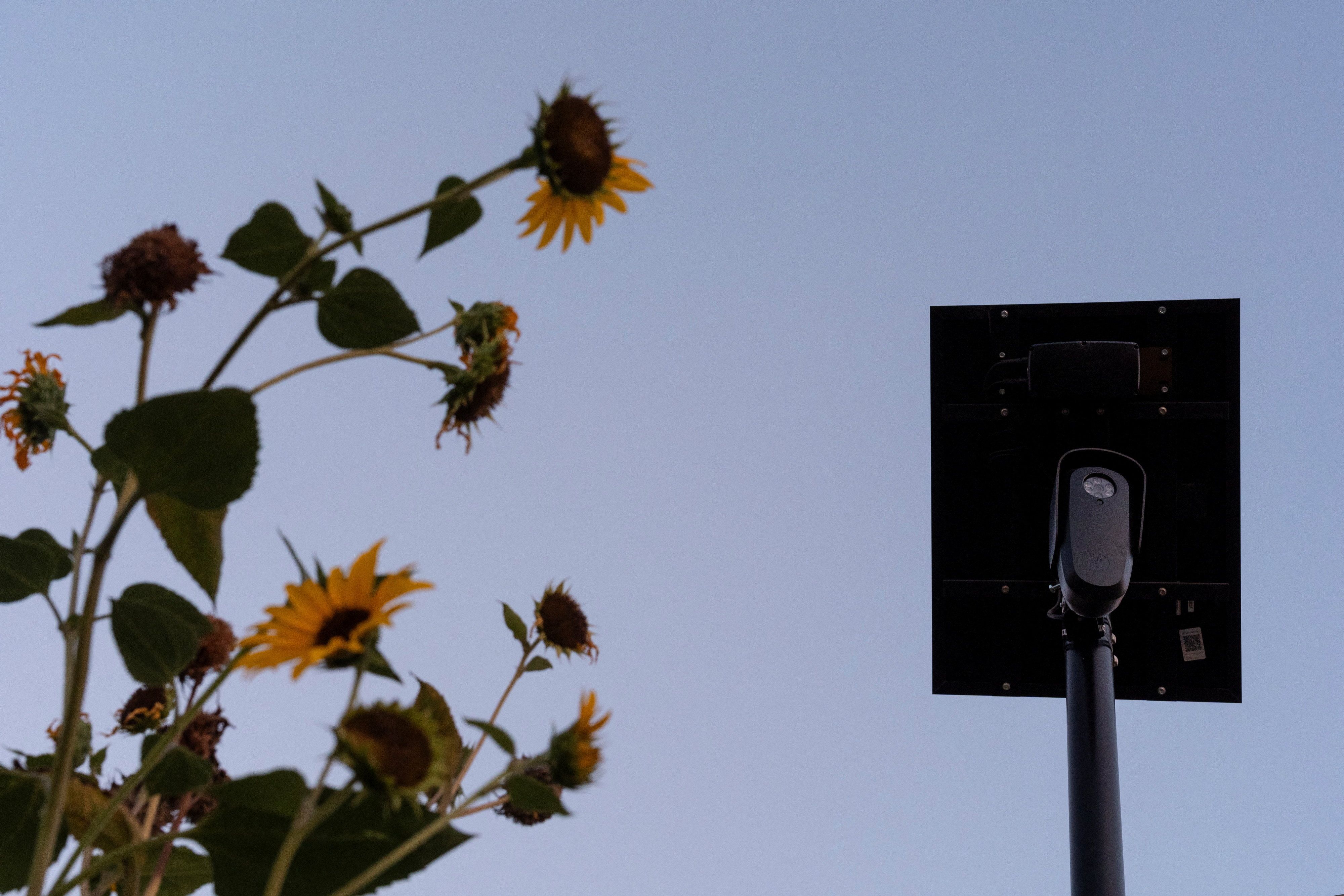 A Flock Safety camera in Colorado.
