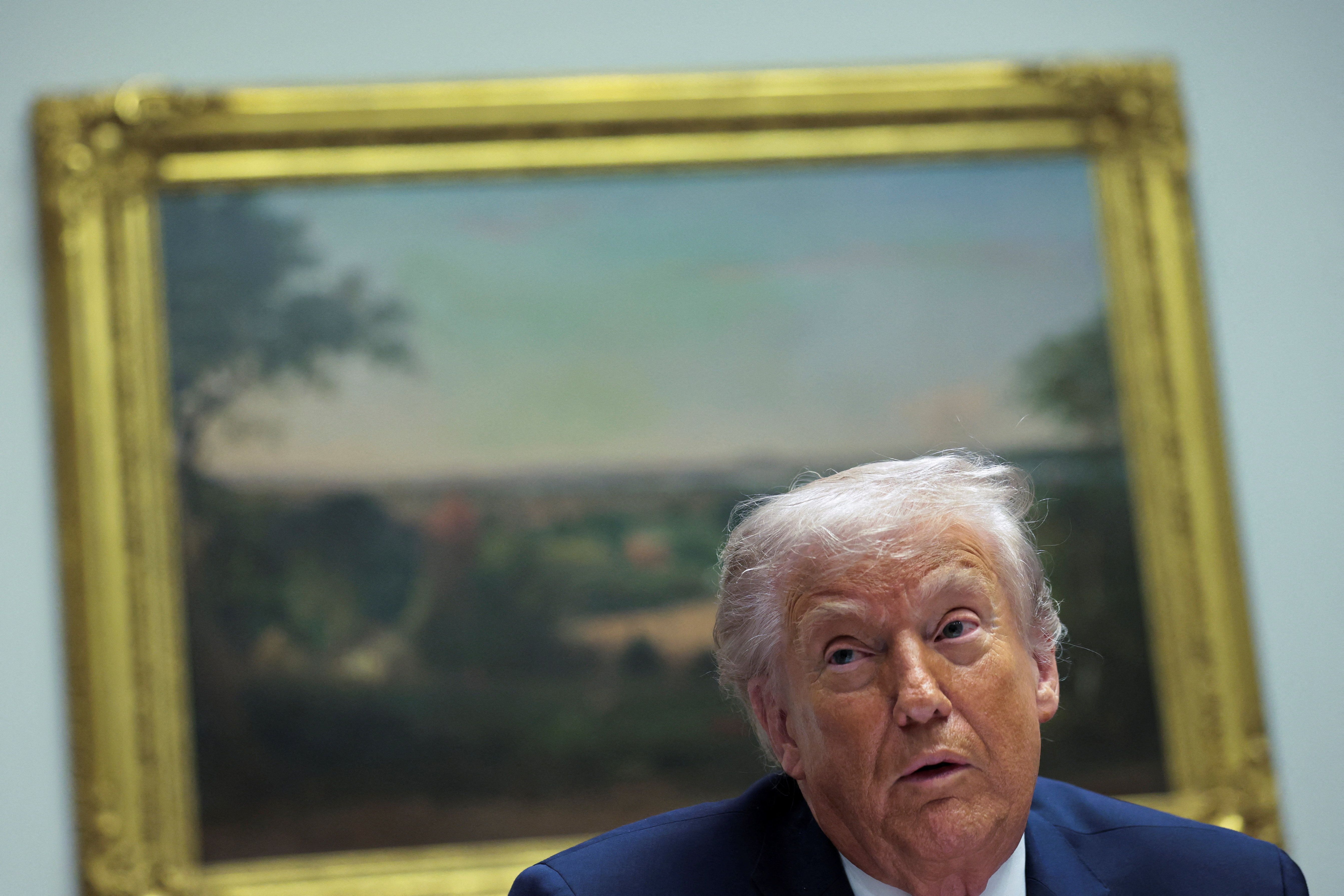 President Donald Trump