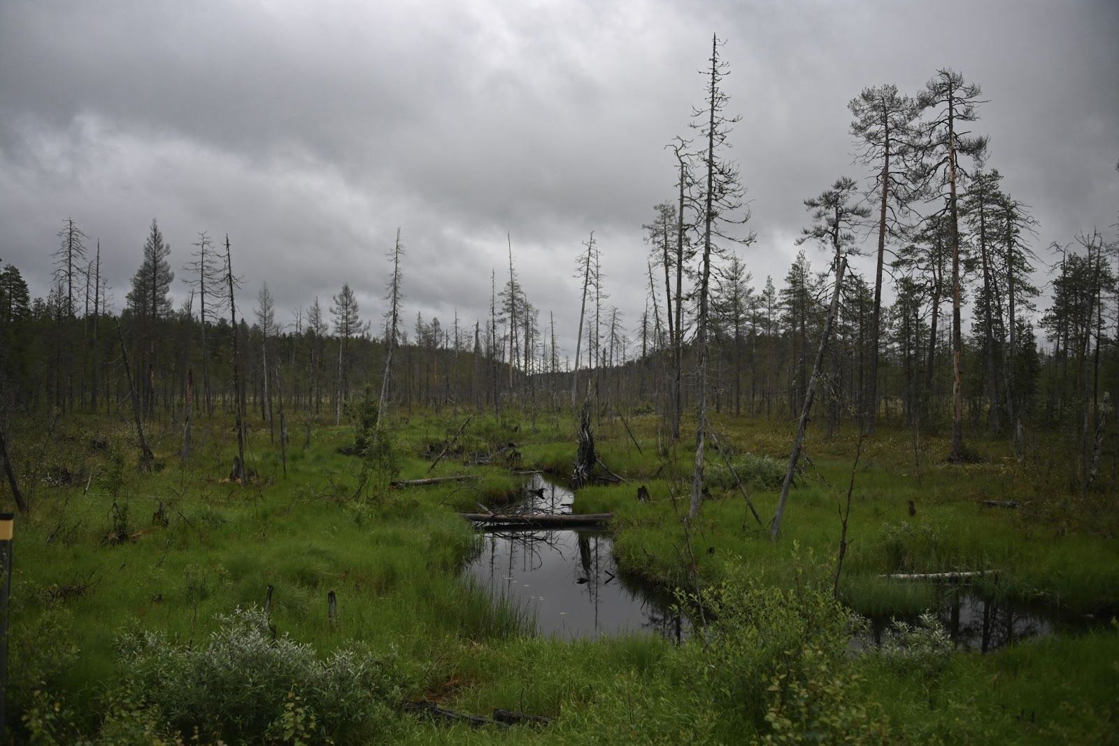 Peatlands in Finland. 