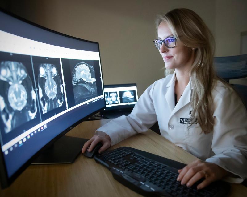 semafor.com - Rachyl Jones - Exclusive: Zoetis to acquire medical imaging company in latest push to build AI