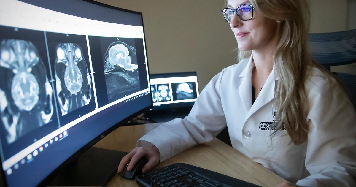 Zoetis acquires medical imaging company in latest push to build AI
