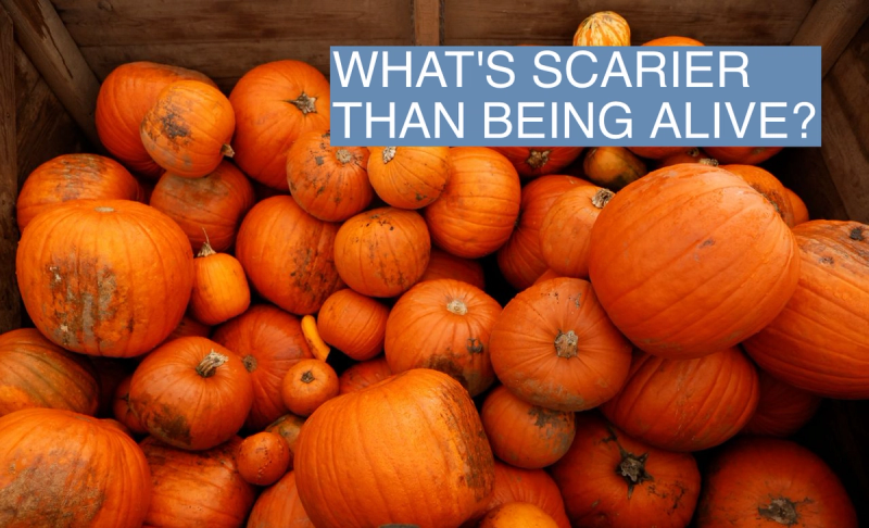 Pumpkins are seen at The Pop up Farm ahead of Halloween, in Flamstead, St Albans, Britain, October 26, 2022.