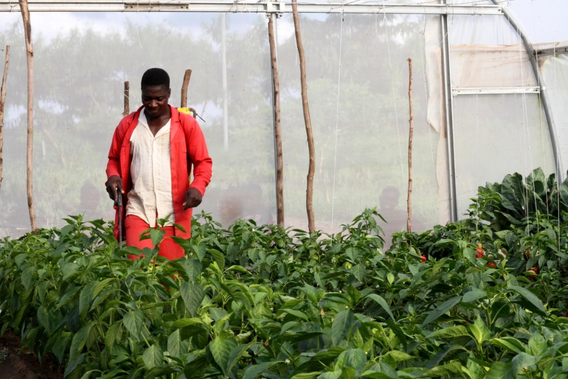 A farmer in Malawi.