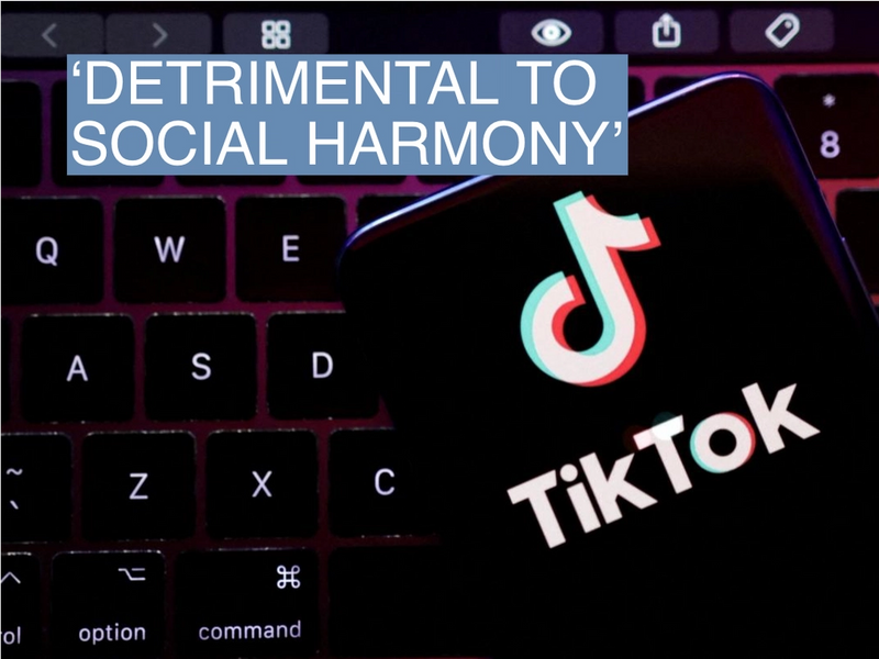 The TikTok app logo is seen in this illustration taken August 22, 2022. REUTERS/Dado Ruvic/Illustration/File Photo