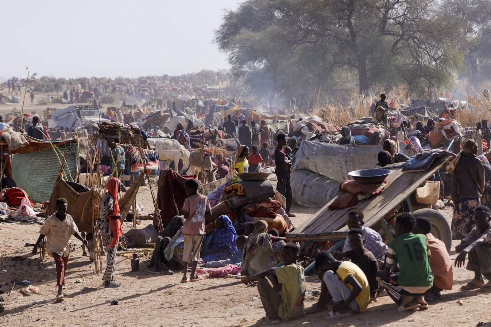 A camp for displaced people in Sudan. 