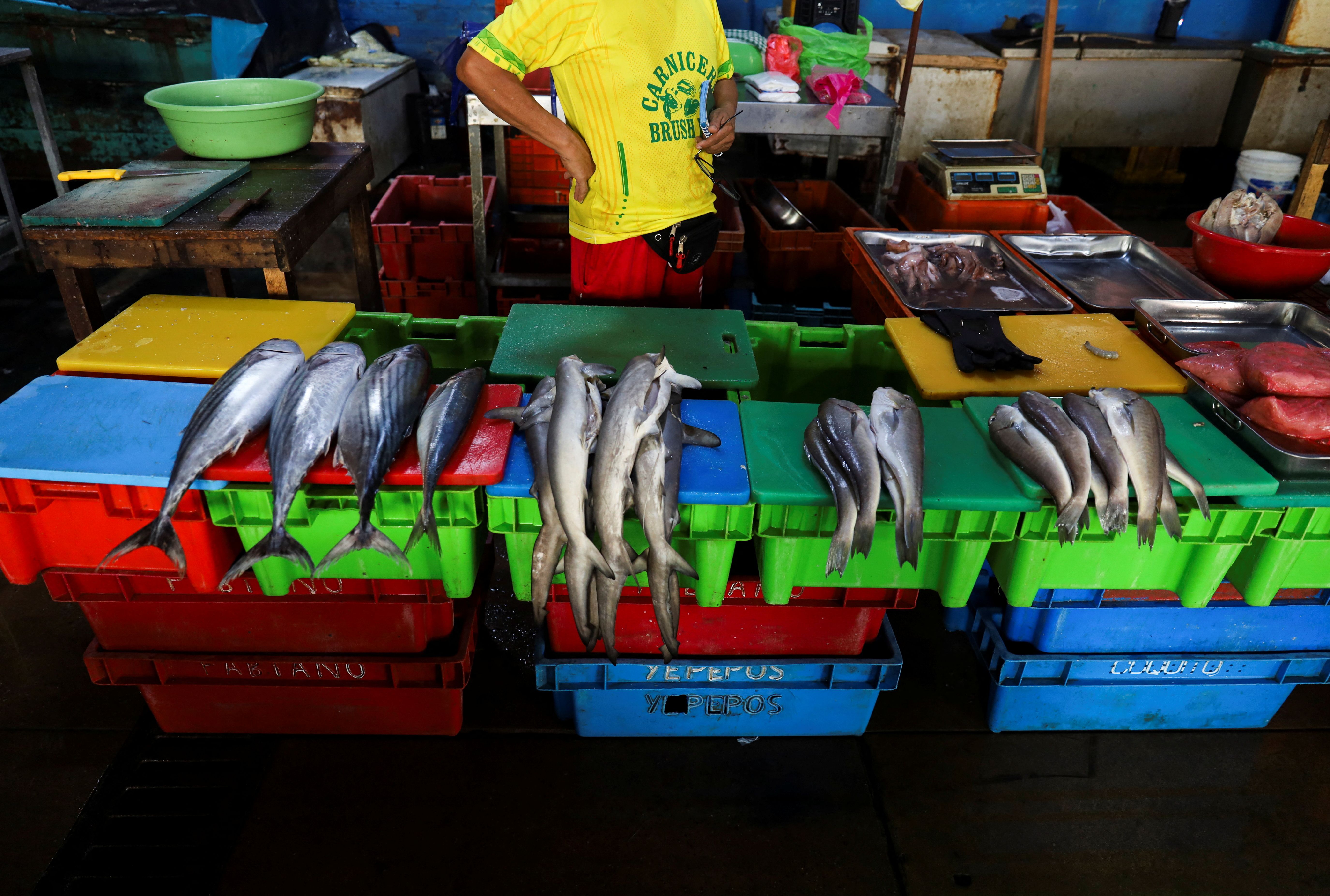 A fish market in Peru