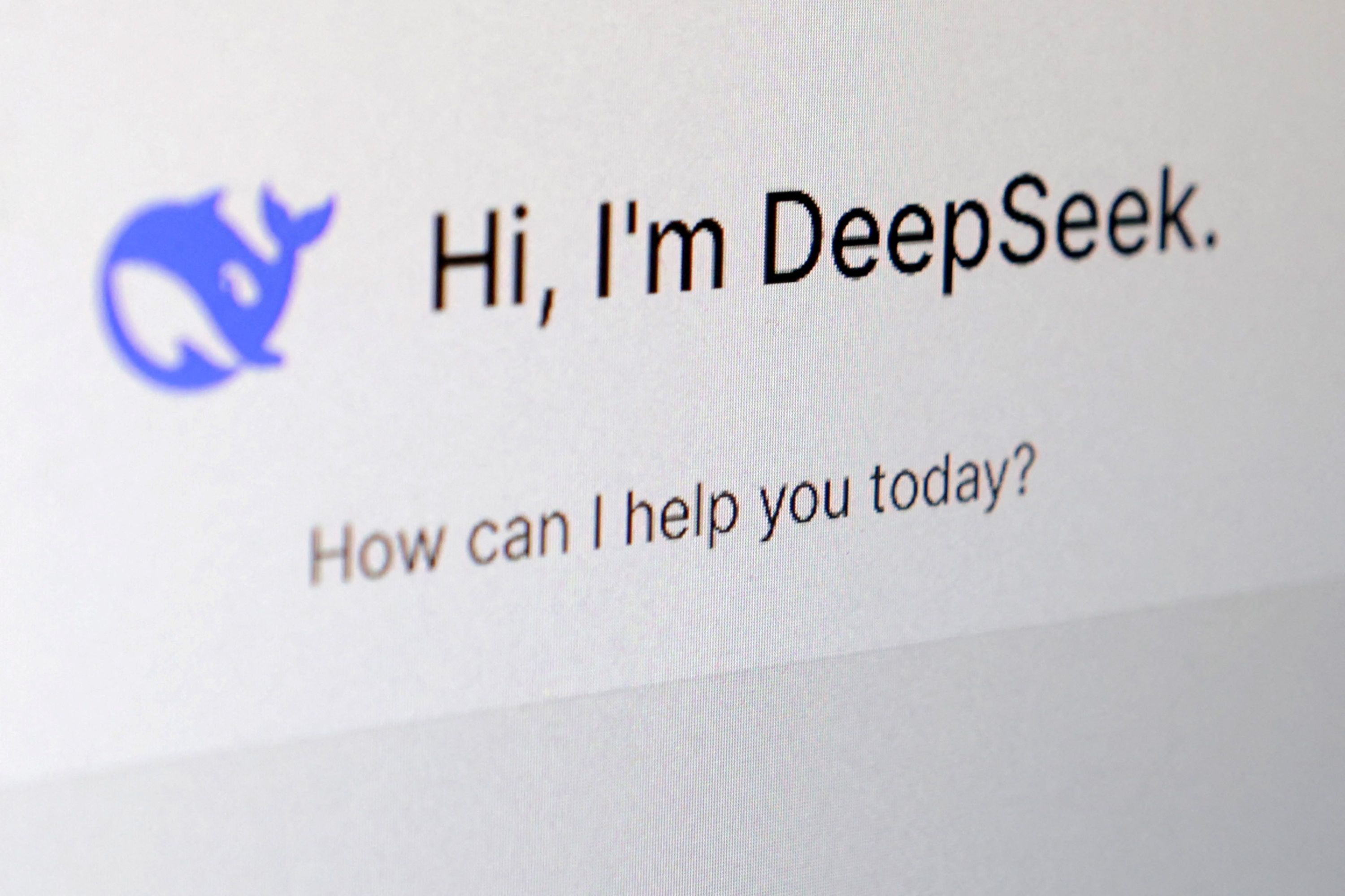 DeepSeek