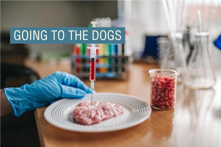 Artificial meat being created in a lab.