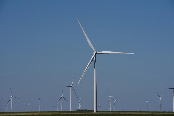 A wind farm in Texas.