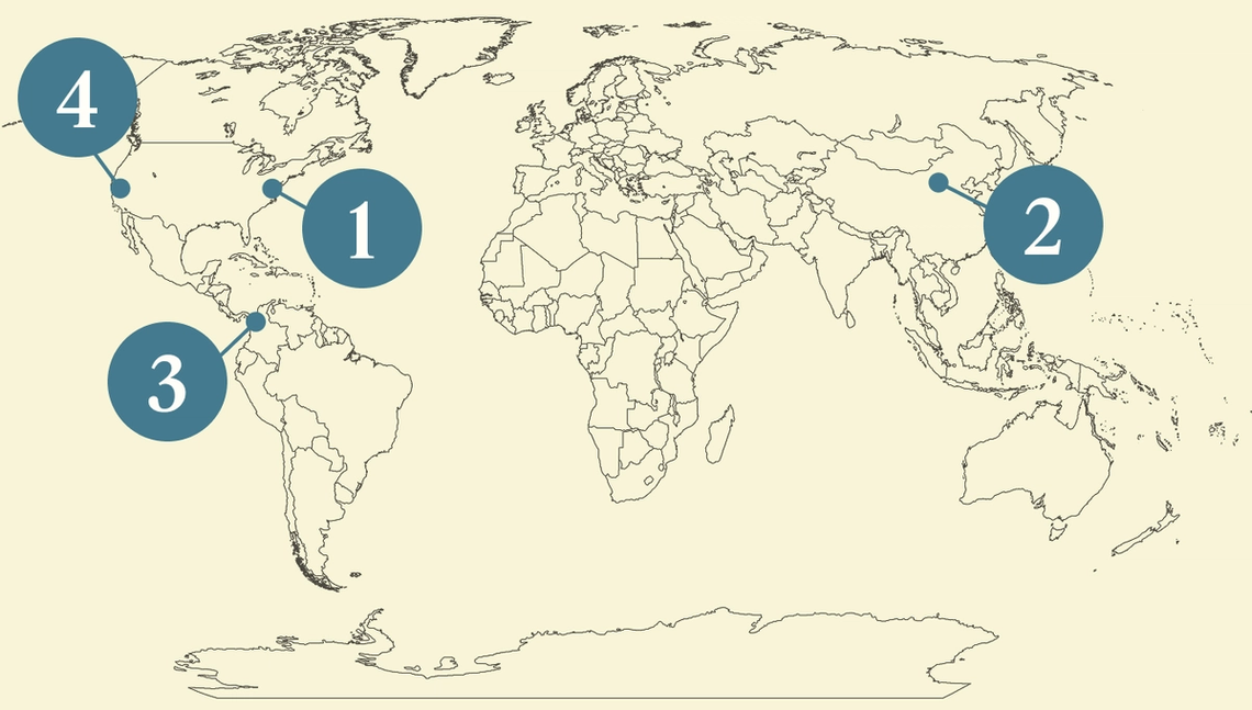 World map