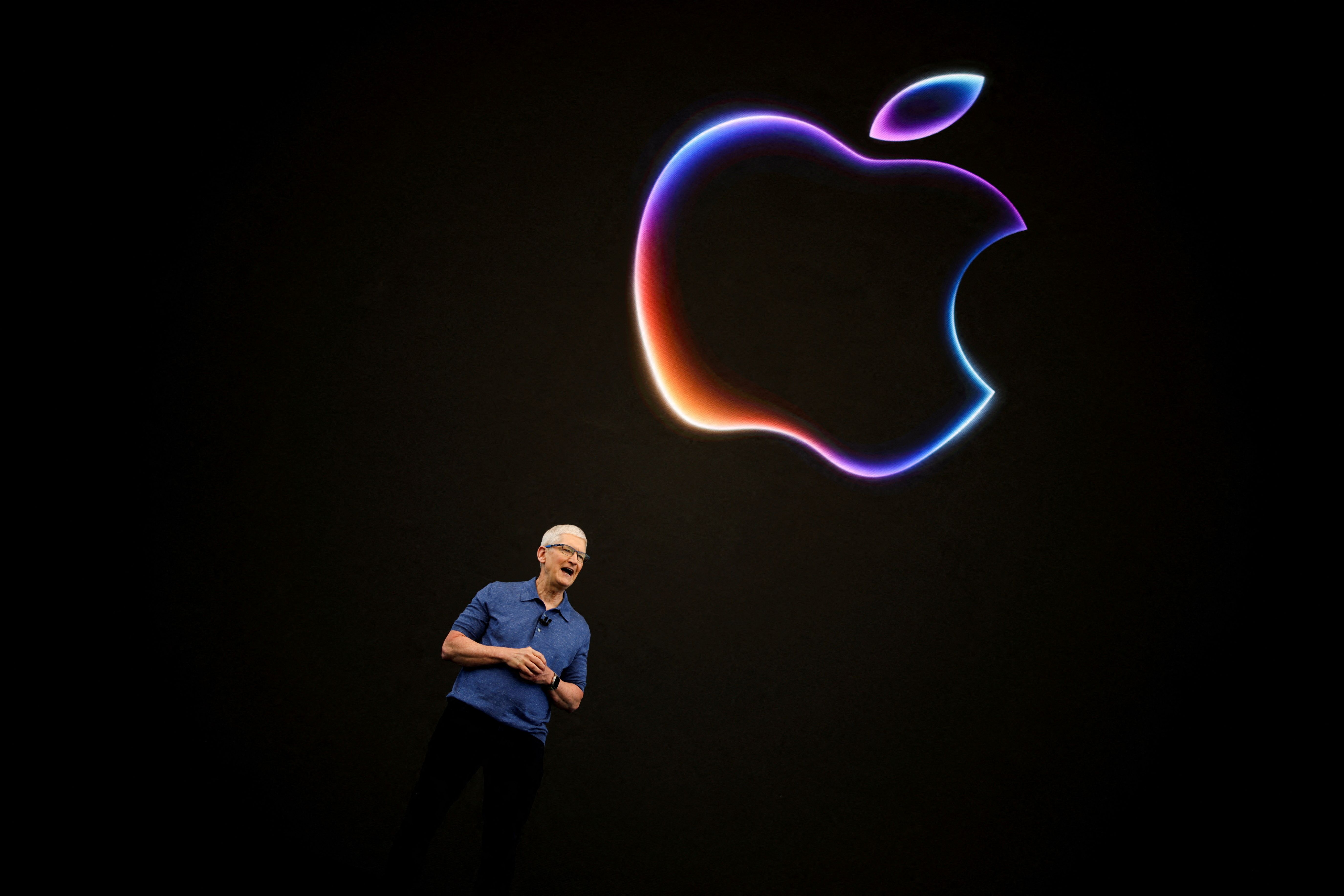 Apple CEO Tim Cook at the conference last year.
