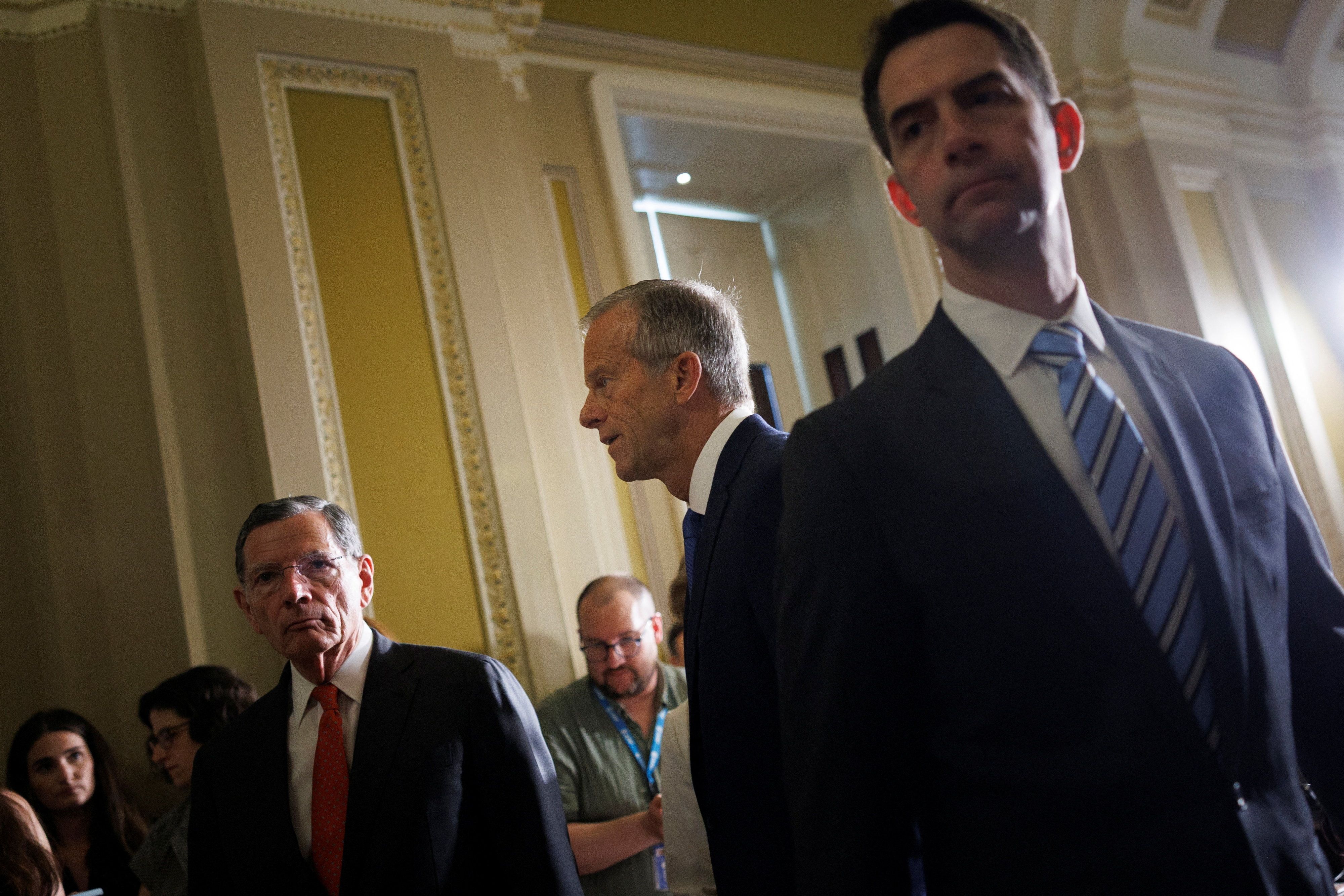 John Thune, Tom Cotton, and John Barrasso 
